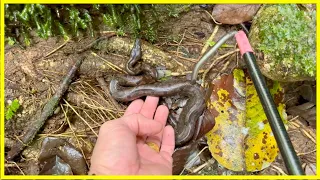 WE FOUND GROUND BOAS IN INDONESIA | MOROTAI