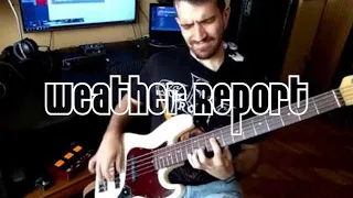 Weather Report - Havona Bass cover