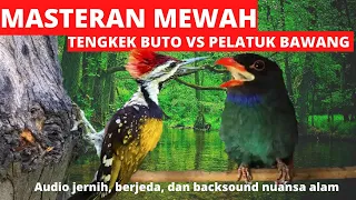 masteran mewah!! tembakan sadis!!!variasi TENGKEK buto vs pelatuk bawang