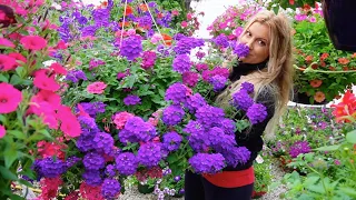 The Most Beautiful Hanging Basket Tour with Jen | 100's of Baskets to see!