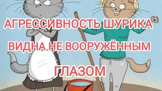 Деревенский дневник очень многодетной мамы. Ролик с названием  Он сам расскажет где он был..