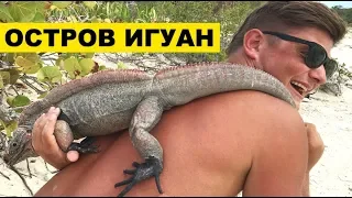 БАГАМЫ. РУЧНЫЕ АКУЛЫ. ОСТРОВ ИГУАН