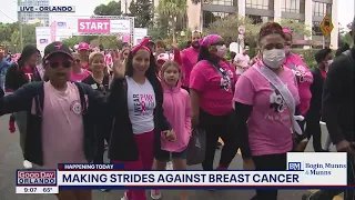 Making Strides Against Breast Cancer event kicks off at Lake Eola Park