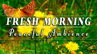 🌳🌞Begin Your Day with the POSITIVE ENERGY of Healing Forest Sounds🌳Fresh Morning Spring Ambience#2