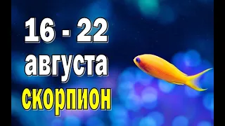 СКОРПИОН 🌍 ДРУЖБА ТРЕБУЕТ ВНИМАНИЯ 🌍 неделя с 16 по 22 августа. Таро прогноз гороскоп гадание