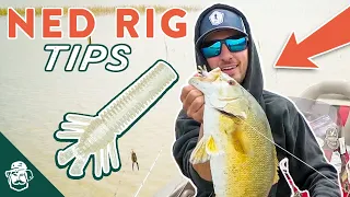 Master the Ned Rig To Catch More Bass In Tough Conditions! | Bass Fishing Tips