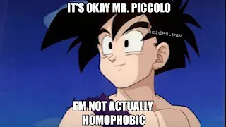 Homophobic Gohan [Original]