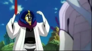 Mayuri Kurotsuchi Rants About Perfection (Dub)