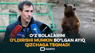 “Oʻz bolalarini oʻldirishi mumkin boʻlgan ayiq boshi qonab yotgan qizchaga tegmadi”