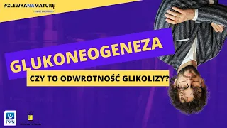 #15 GLUKONEOGENEZA [Matura z biologii 2023 + studia] 👩‍⚕🧑‍⚕