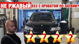 Есть ли ЖИВЫЕ Е53 В 2020 году?