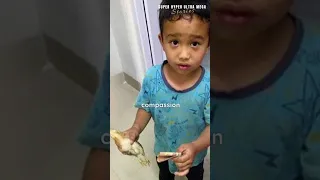 6 year old boy tried to save a chick