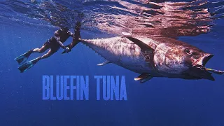 BKK HOOK YOUR DREAM EXPEDITION: BLUEFIN TUNA - Wild Sea Expedition - Full Movie