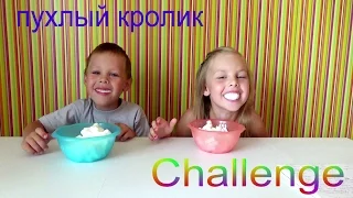 ЧЕЛЛЕНДЖ ПУХЛЫЙ КРОЛИК Челленджи Для Детей CHUBBY BUNNY CHALLENGE Вызов Принят Пухлый Кролик