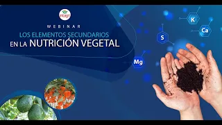 Webinar sobre Los Elementos Secundarios en la Nutricion vegetal