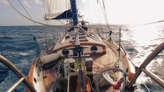 SAILBOAT LIFE: Exploring Above & Under The Sea [Sailing Kittiwake Ep. 108]