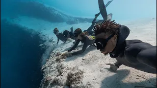 Freediver's Life for Me | Bahamas