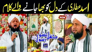Asad Raza Attari Naats || Mola O Din vi Aawe || Punjabi Naat Sharif || Mehfil Ishq e Rasool 2019