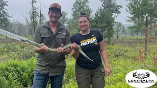 Taking First-Timers Rattlesnake Hunting in PA | 2023 Season