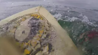 Surfing Sennen Cove Cornwall