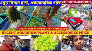 Aquarium Plant & Accessories Recent Price| Galiff Street Aquarium Fish Market, W.B. |28th April 2024