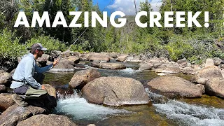 This Creek Is Pocket Water Heaven! (Tenkara Fly Fishing)