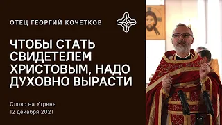 Чтобы стать свидетелем Христовым, надо духовно вырасти 12.12.21 Священник Георгий Кочетков