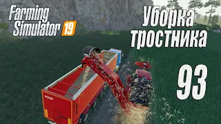 Farming Simulator 19, прохождение на русском, Фельсбрунн, #93 Уборка тростника