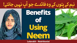 Neem Ke Patte ke Fayde | Health Benefits of Neem in Urdu/Hindi | Use of Neem