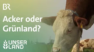 Wo Gras wächst: Acker oder Grünland? | Unser Land | BR Fernsehen