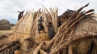Sustainable Living - Hut of Reeds