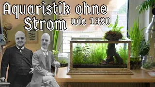 So ein Aquarium haben wir noch nie gesehen! Aquaristik wie 1890 ganz ohne Strom!