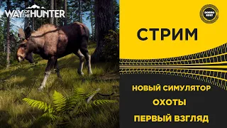 ✅ НОВЫЙ СИМУЛЯТОР ОХОТЫ Way of the Hunter ПЕРВЫЙ ВЗГЛЯД