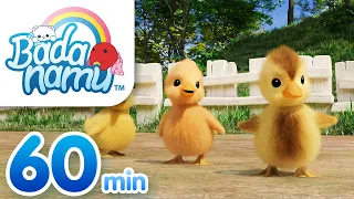 Animal Songs Badanamu Compilation | Nursery Rhymes & Kids Songs