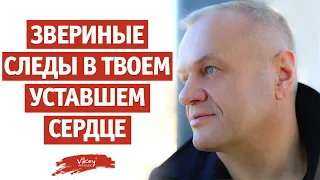 В. Корженевский (Vikey) читает стихи "Звериные следы в твоём уставшем сердце", 0+