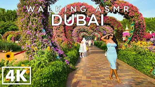 DUBAI [4k] Walking in Amazing Miracle Garden - ASMR