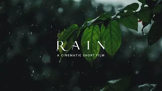 Rain - A Cinematic Short Film | Aesthetic Rain Video | Rain Status