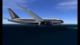 Boeing 787 Dreamliner - Private Custom Livery - Landing Martinique