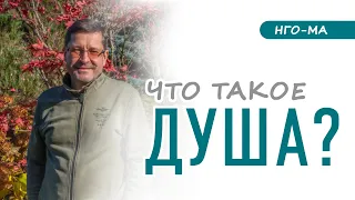 Что такое душа?