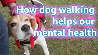 'How dog walking helps my mental health'