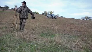 Coyote gets hammered with 300 Win Mag