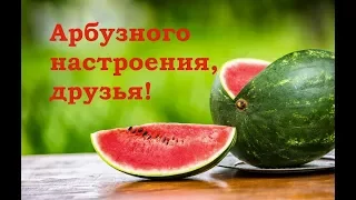 Арбузного настроения, друзья! Позитив для друзей. Добрые пожелания.