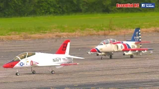 McDonnell Douglas T-45 GOSHAWK (Paul Gray, Jet Legend, 1.8m wingspan, Wren 80 turbine)