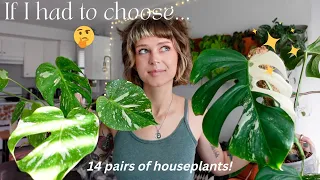 🪴 which plant should you get? comparing houseplants that are similar 🧐