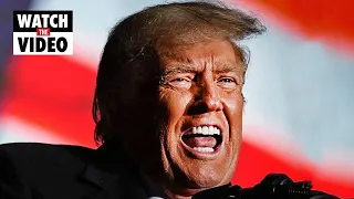 “Screaming at everyone”: Donald Trump furious over Republican midterm “red wave” failure