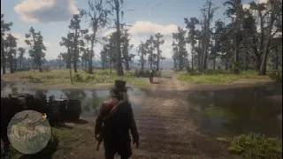 Red Dead Redemption 2 Спасти жену незнакомца