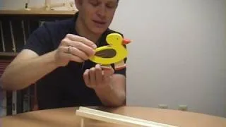 Toy Physics - Part 3: Waddling Duck