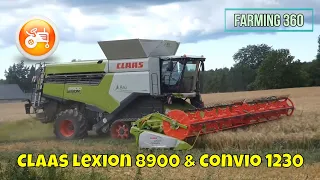 Harvest 2022 | Claas Lexion 8900 combine & Convio 1230 header