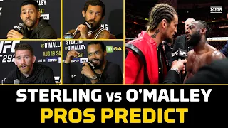 Pros Predict Aljamain Sterling vs. Sean O'Malley | UFC 292 | MMA Fighting