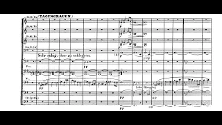 Richard Wagner - Siegfried's Rhine Journey. {Audio + Full score}